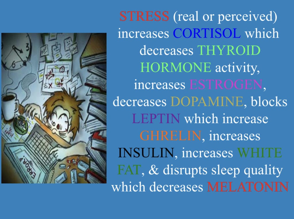 Are your hormones making you tired?
