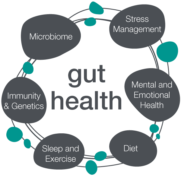 Gut Health & the Importance of Probiotics The Root Natural Health Clinic