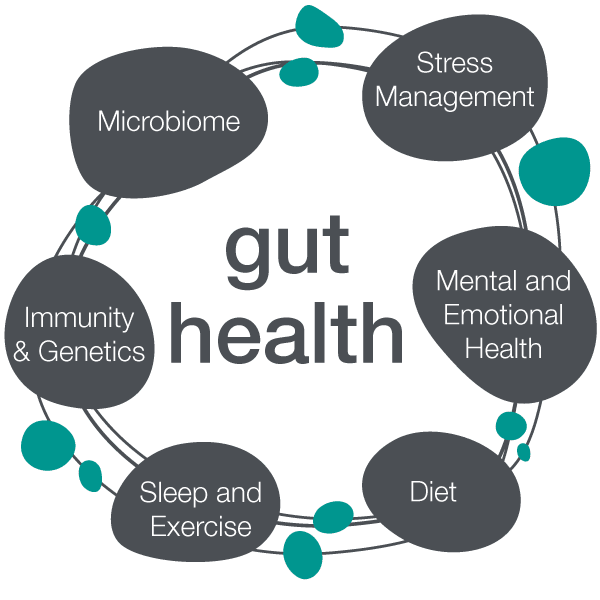 Gut Health & the Importance of Probiotics